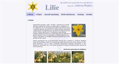 Desktop Screenshot of lilie.com.pl
