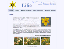 Tablet Screenshot of lilie.com.pl